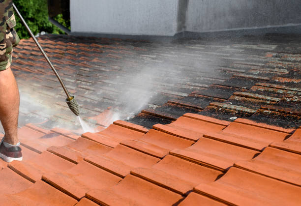 Best Deck Pressure Washing  in Elburn, IL